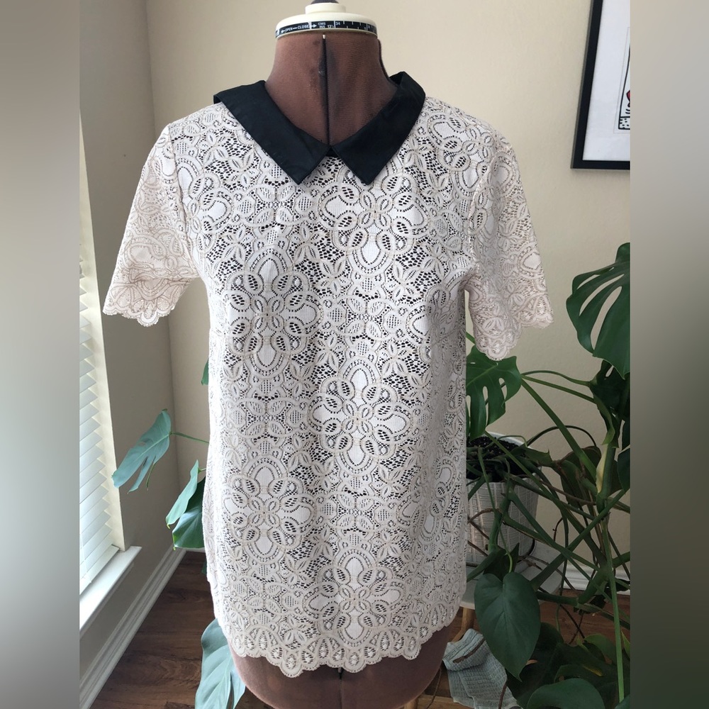Madewell Collared Cream Lace Top small